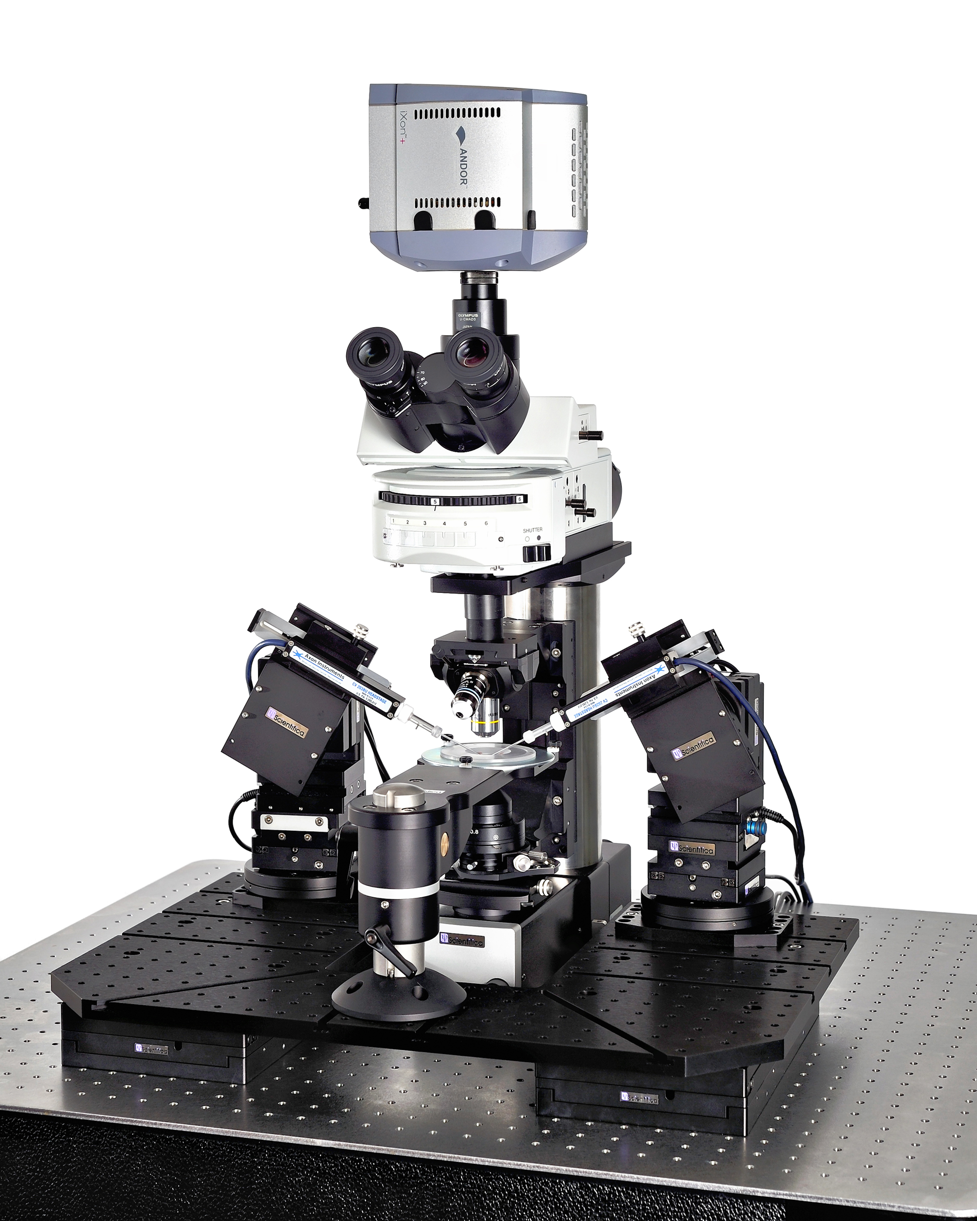 Scientifica SliceScope Pro 6000 Electrophysiology Rig Technical Data