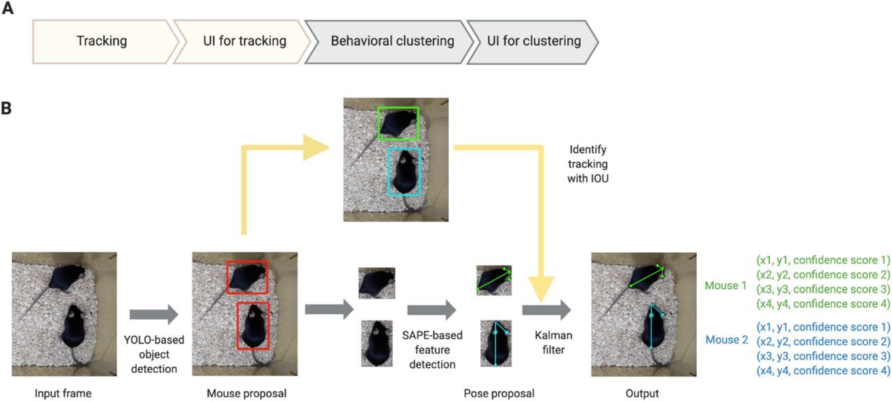 Image Credit: AlphaTracker architecture and pipeline (Chen et al., 2020)