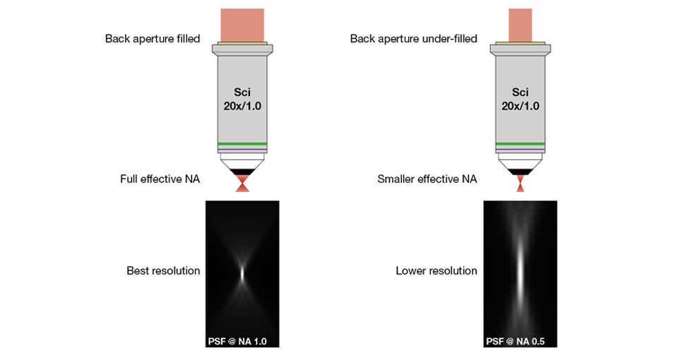 Figure 4: Objective Back Aperture Filling and Numerical Aperture Figure 4: Objective Back Aperture Filling and Numerical Aperture