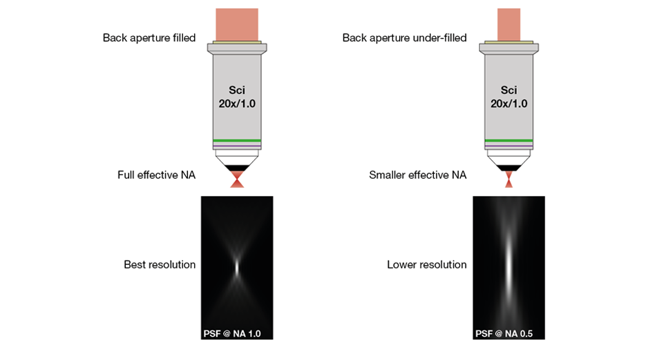 Figure 4: Objective Back Aperture Filling and Numerical Aperture