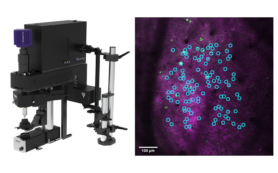 Scientifica HoloStim-3D