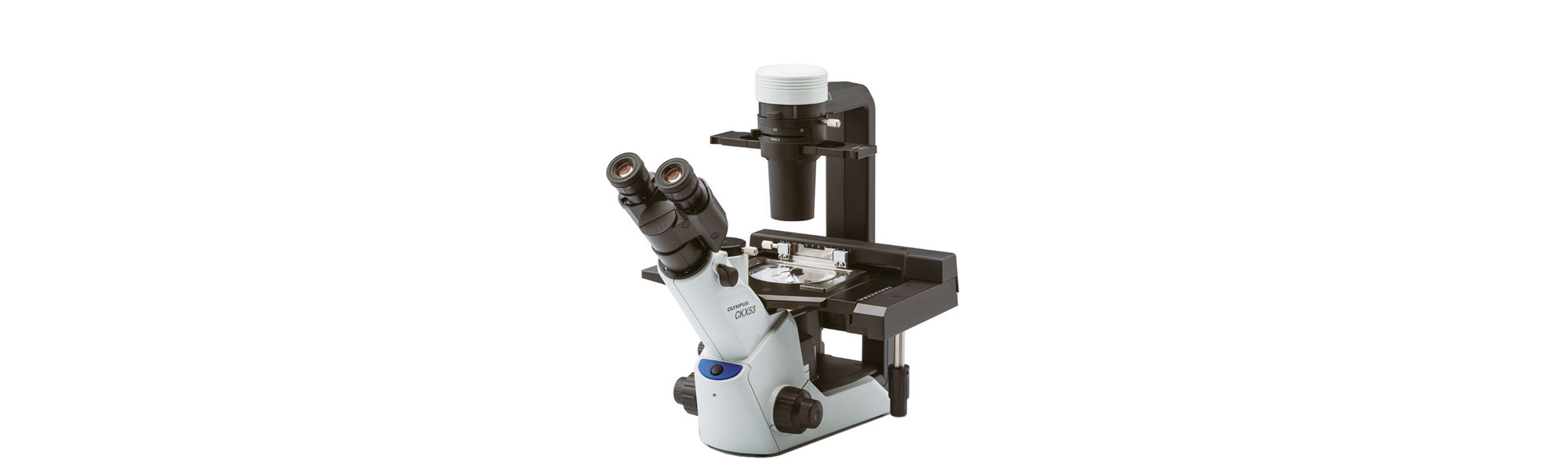Olympus CKX53