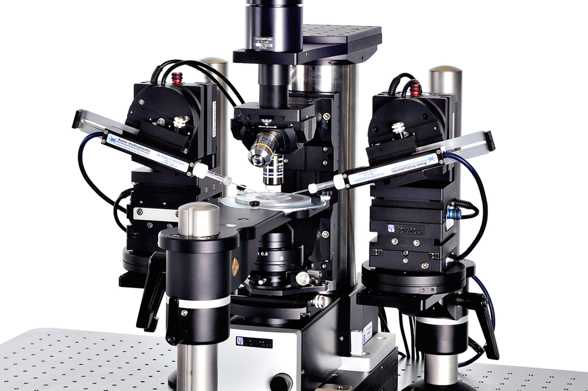 Patch clamp rig