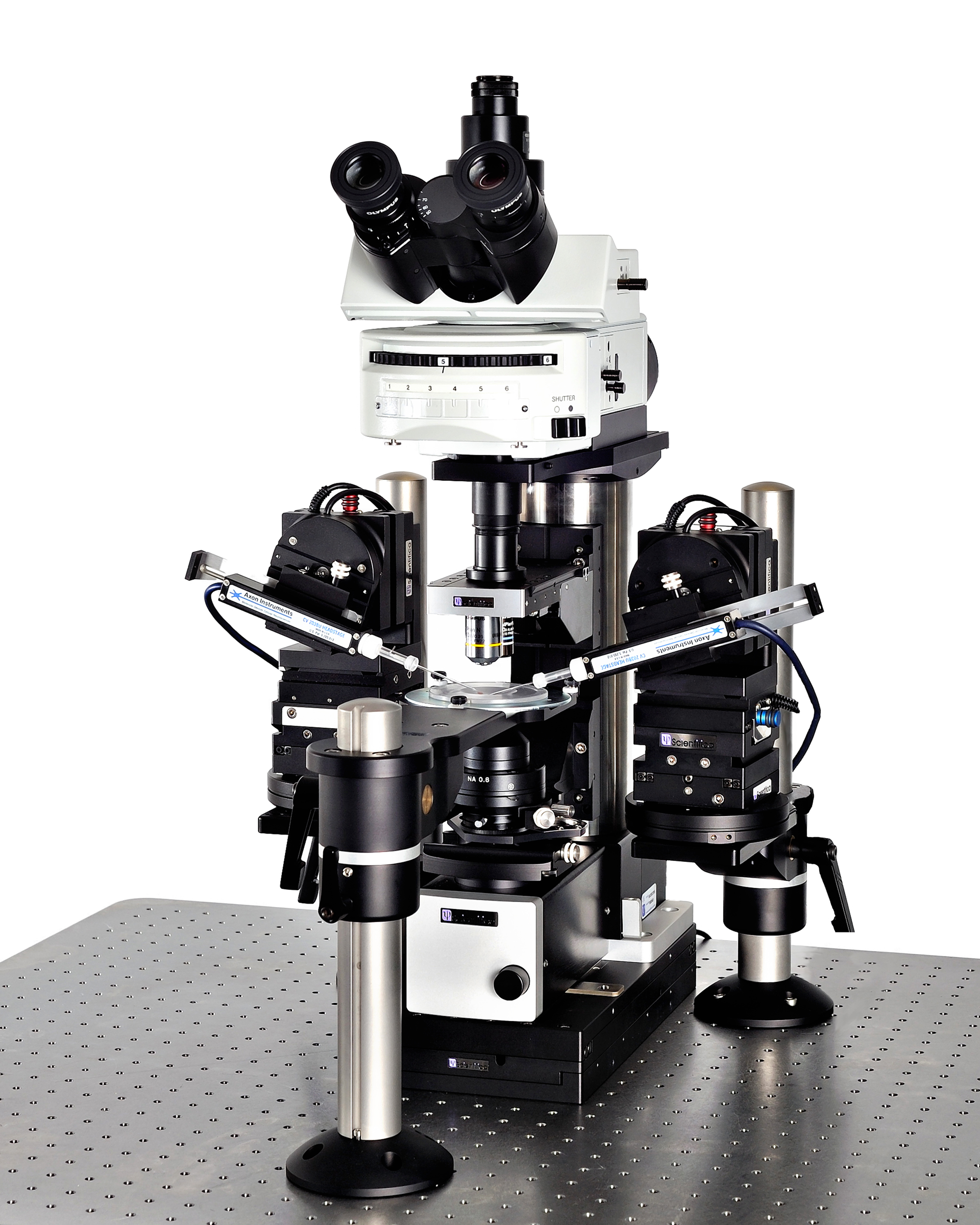 Integrated electrophysiology system for patch clamp recordings