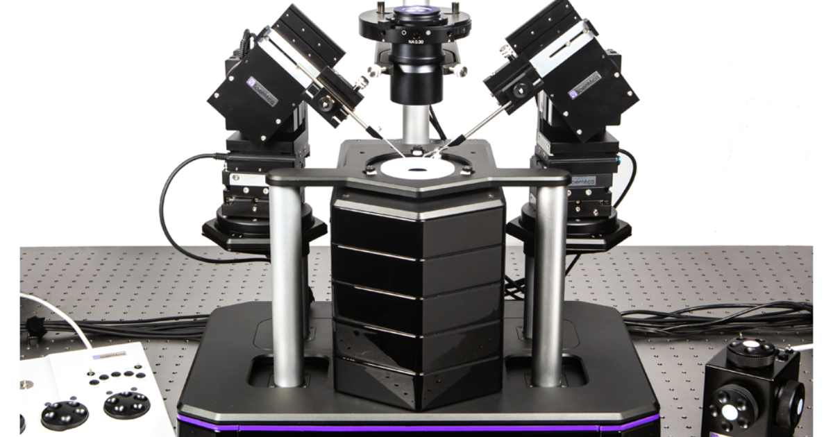 6 Cell Rig Model Cultured cells electrophysiology rigs | Scientifica