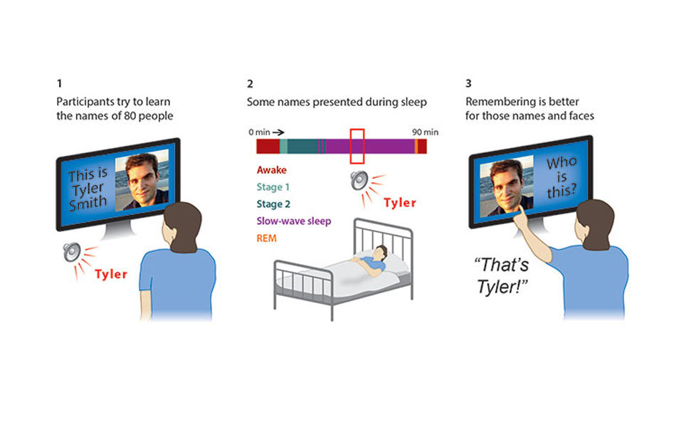 Remembering faces and names can be improved during sleep. Image credit: Northwestern University Remembering faces and names can be improved during sleep. Image credit: Northwestern University