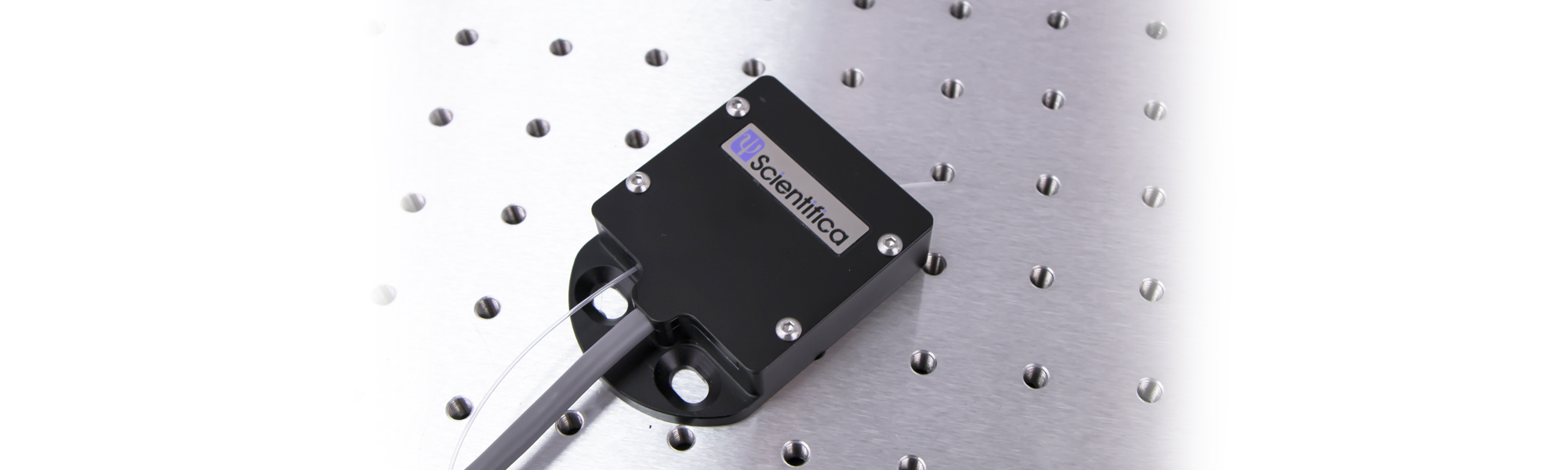 Scientifica Temperature Controller